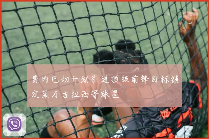 费内巴切计划引进顶级前锋目标锁定莱万吉拉西等球星